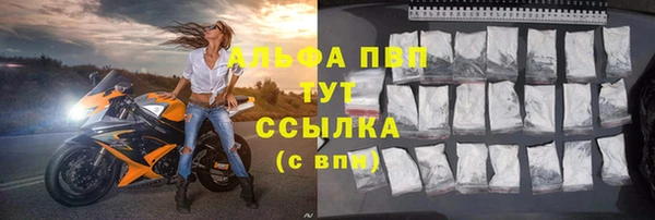 амф Белая Холуница