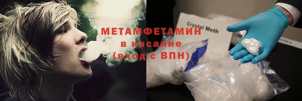 прущие грибы Вязники