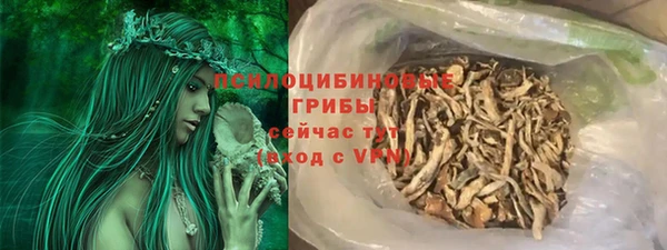 амф Белая Холуница