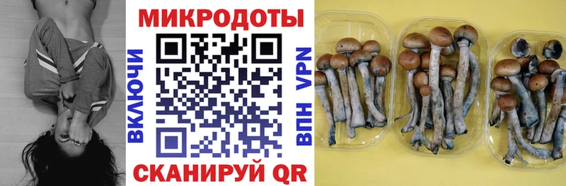 Галлюциногенные грибы MAGIC MUSHROOMS  где найти   Краснокамск 